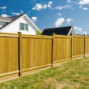 gold stained panel fencing