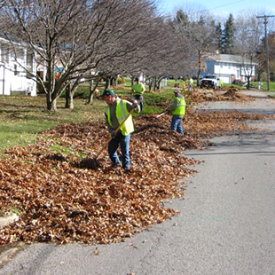 sweeping leaves into piles