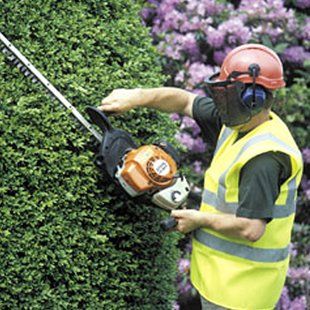 cutting a hedge with a petrol trimmer