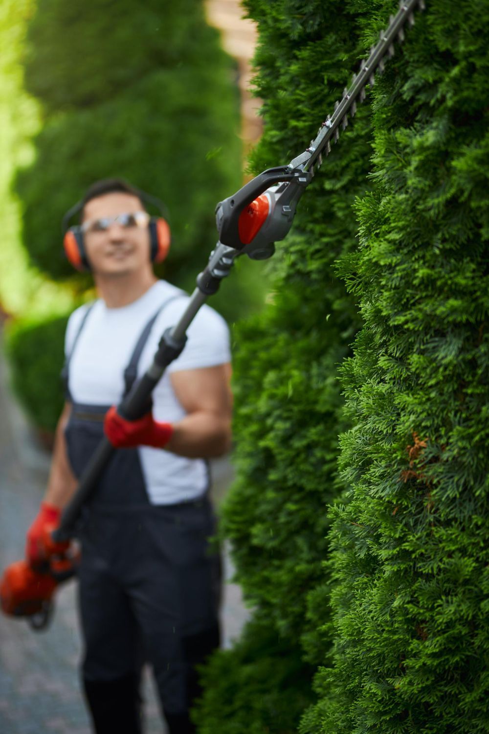 A person is cutting a bush with a pair of scissors.