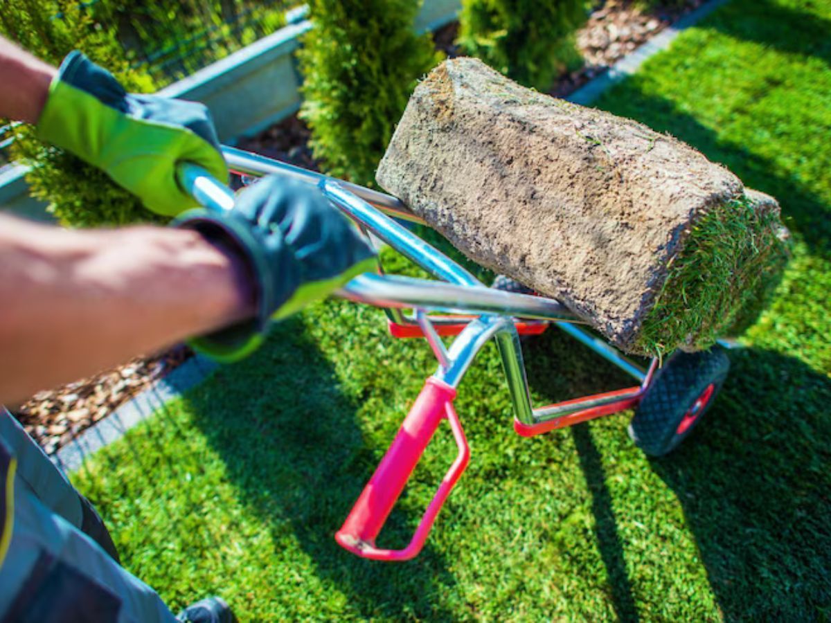 landscape service Kerman