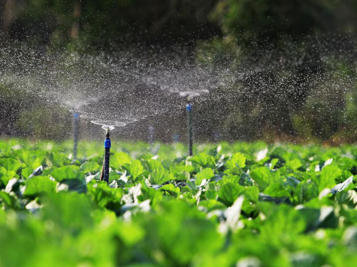 A park with a wooden bench and a white picket fence.