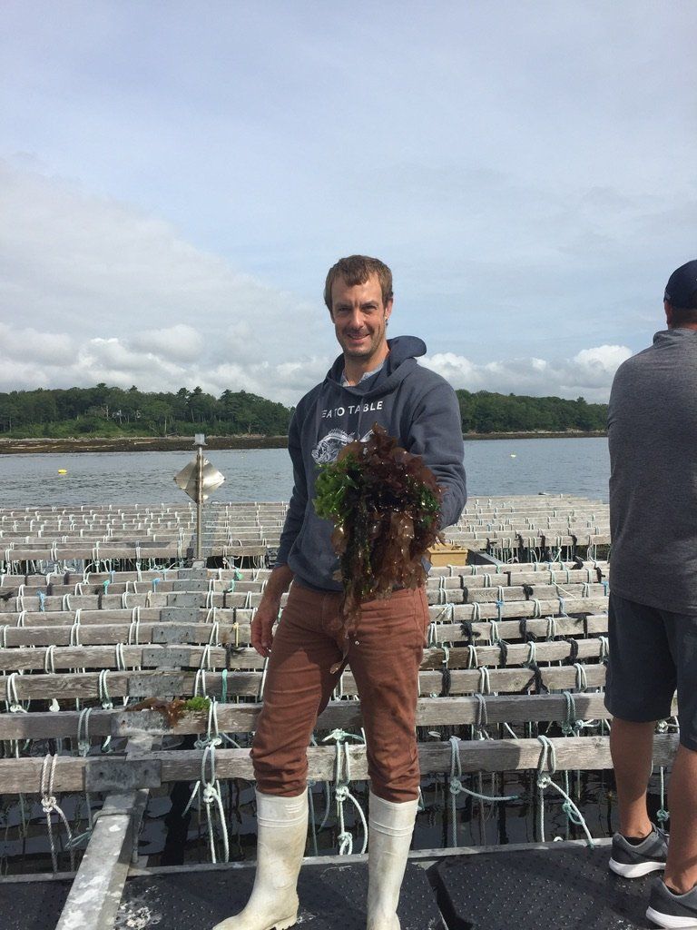 A man wearing white boots is standing on a platform holding a plant.