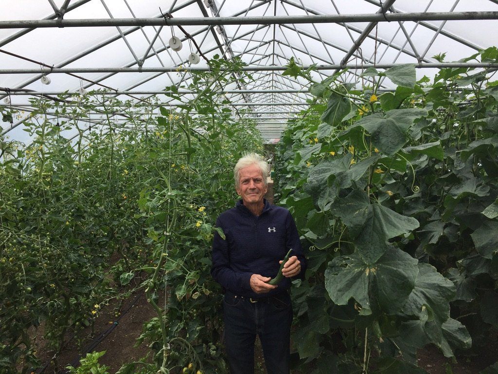 A man is standing in a greenhouse surrounded by plants.