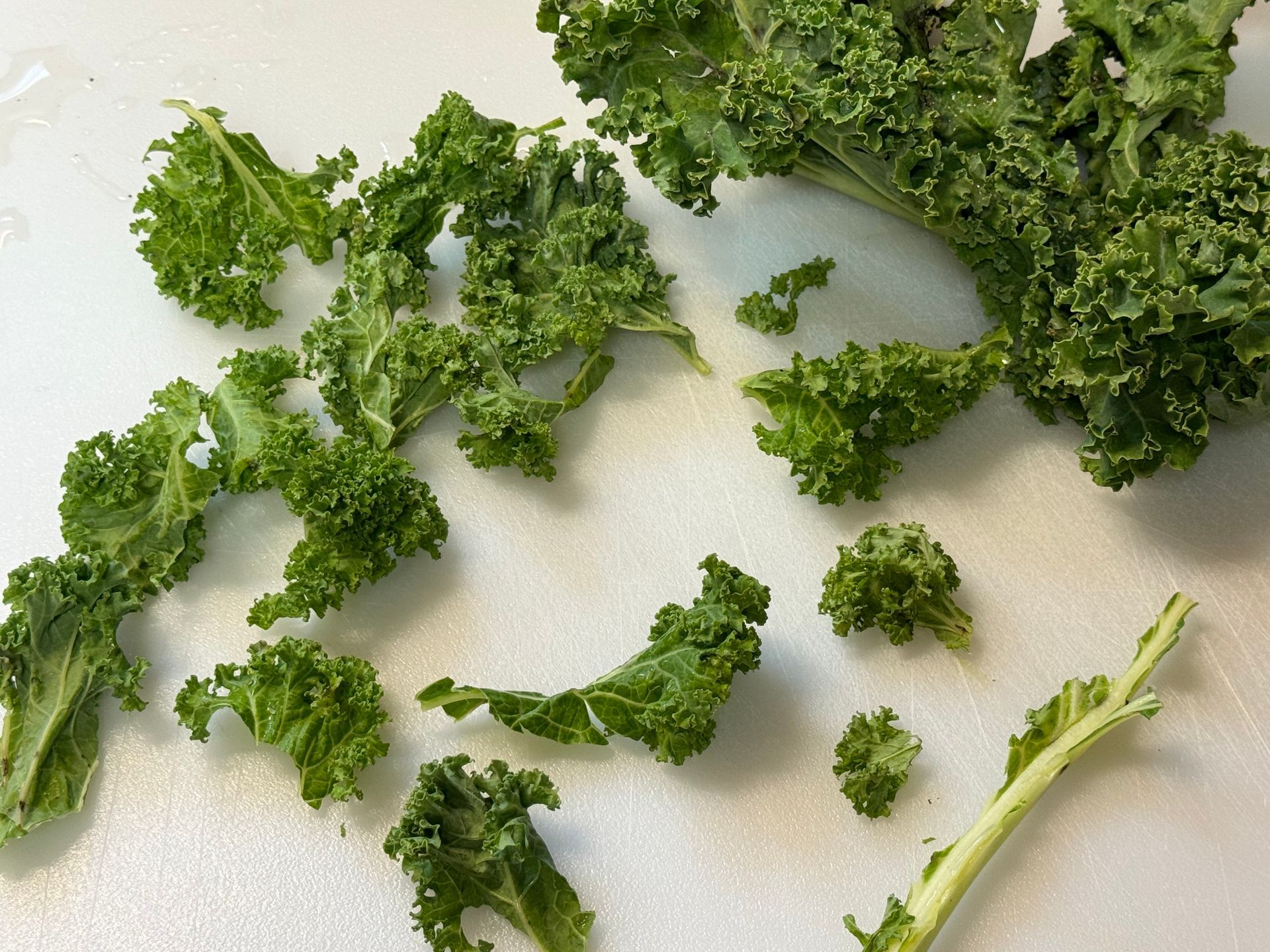 A bunch of kale leaves on a white surface