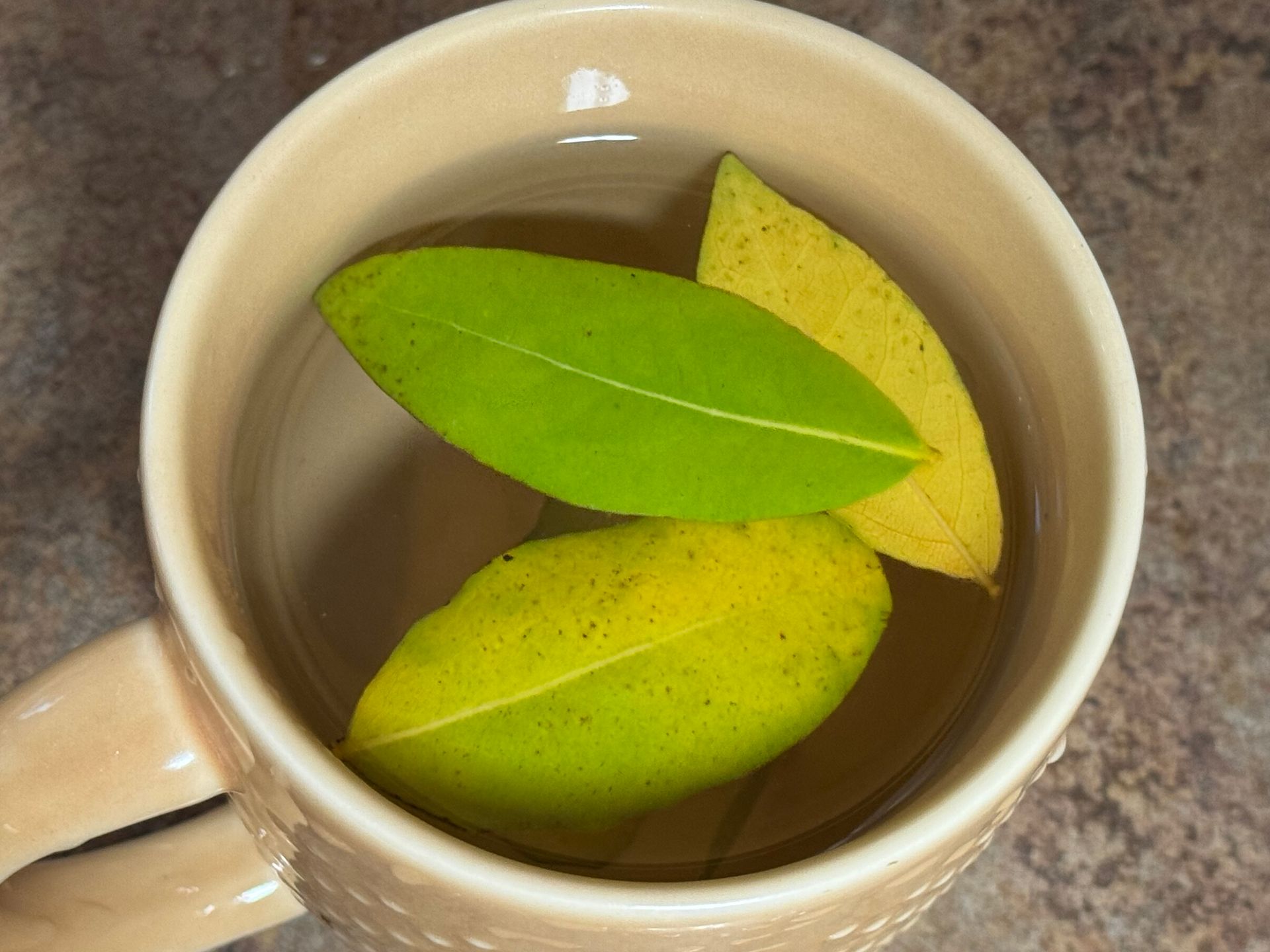 A cup of tea with green and yellow leaves in it