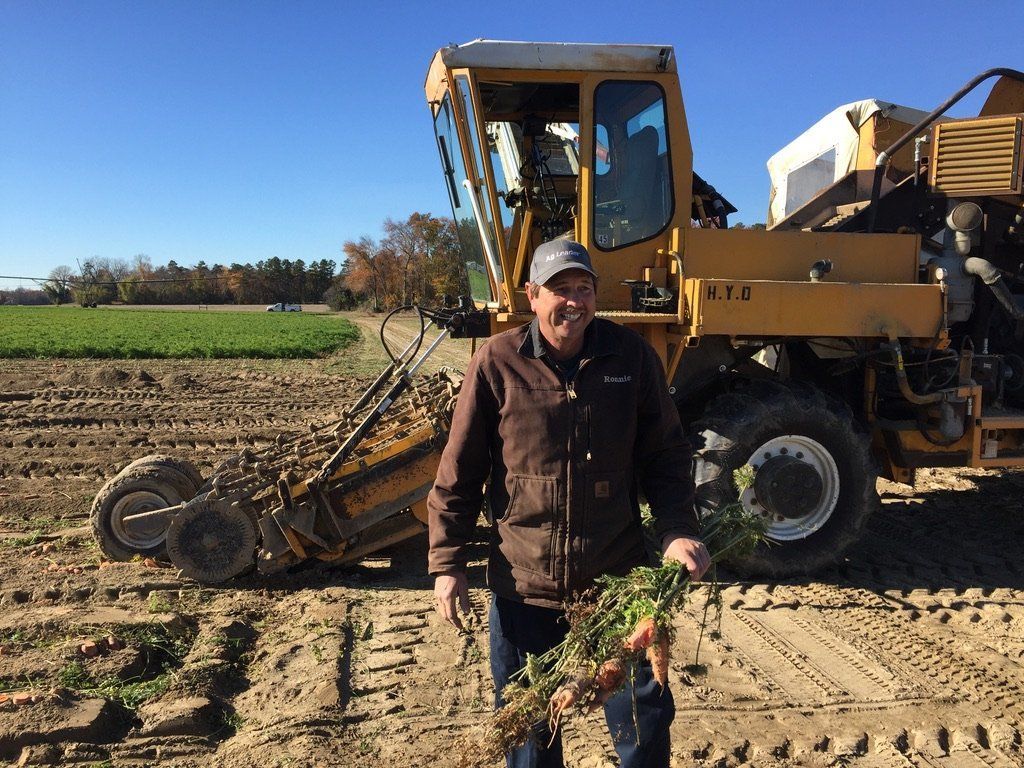 A man is holding a bunch of carrots in front of a tractor.