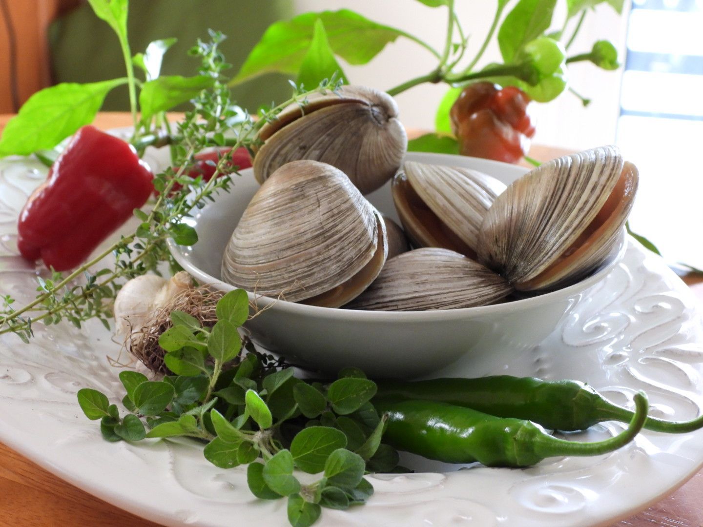 A bowl of clams sits on a white plate