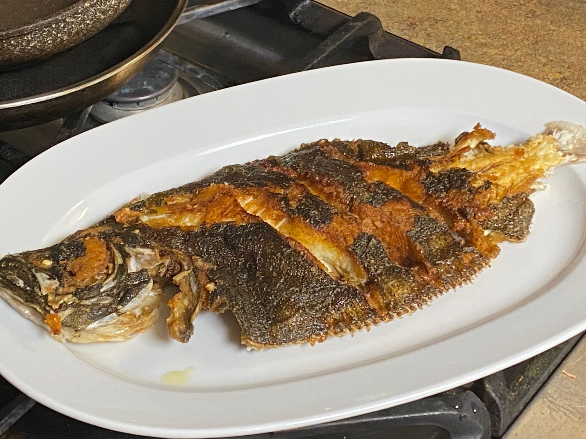 A fried fish is on a white plate on a stove