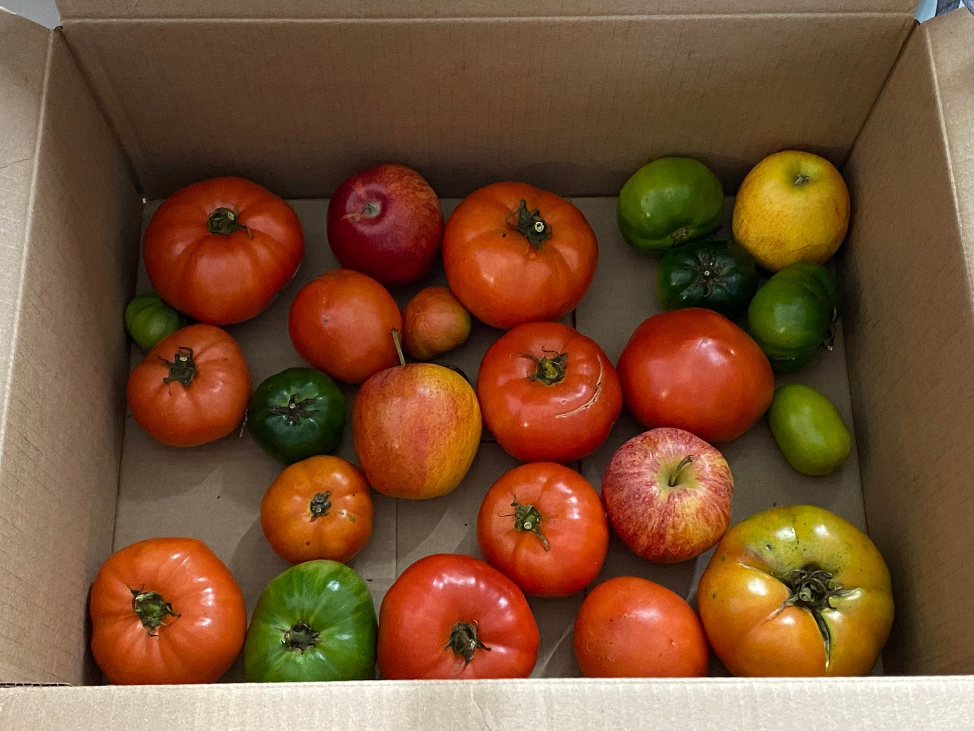 A cardboard box filled with tomatoes apples and limes