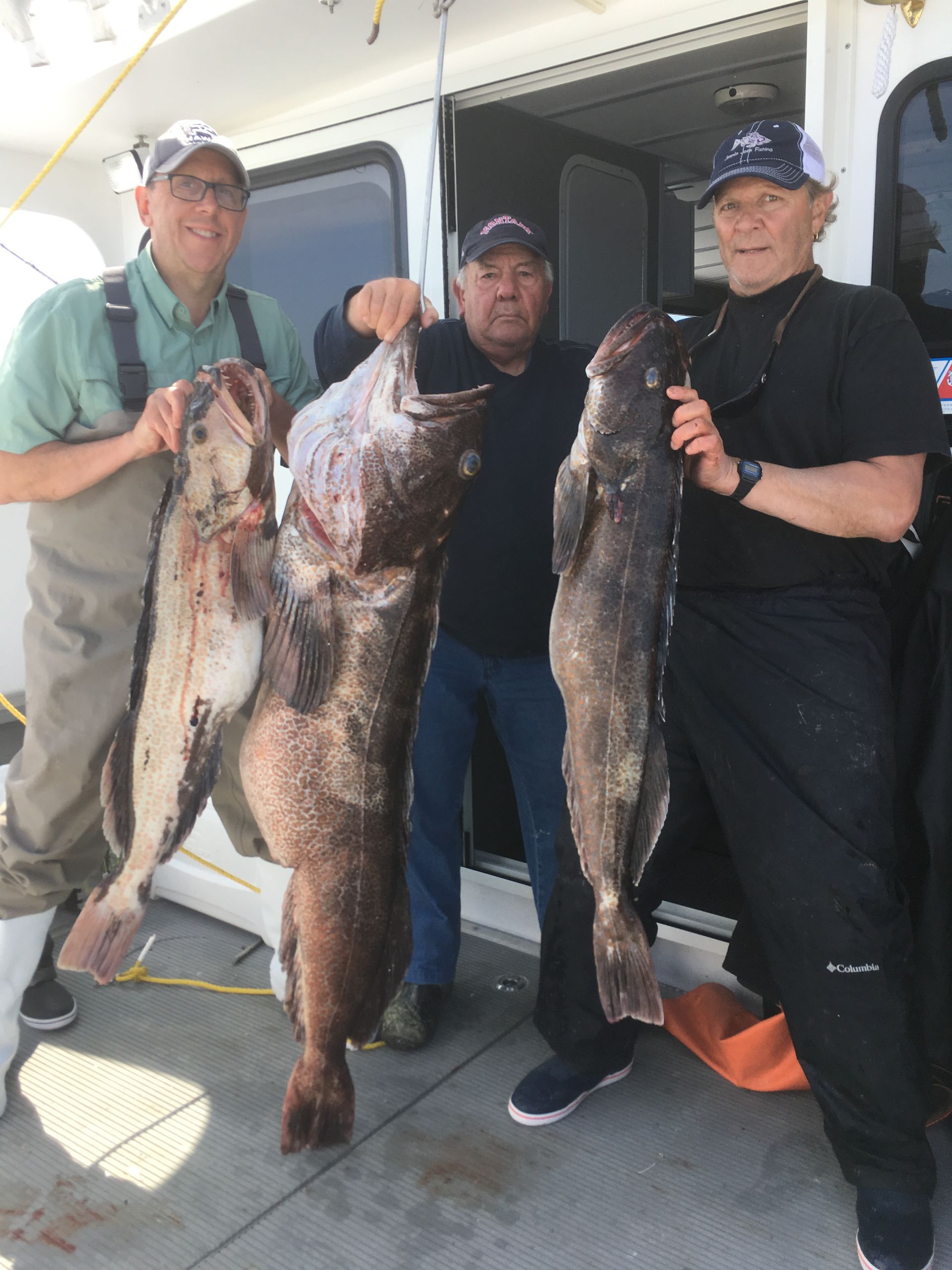 Three men are standing next to each other holding large fish.