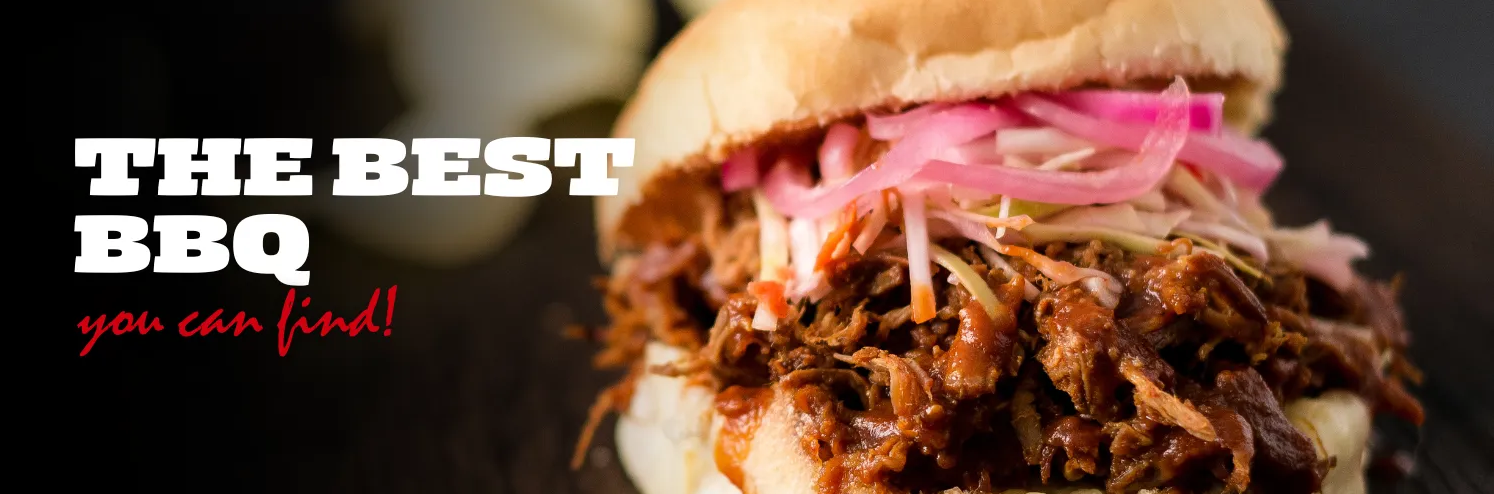 A close up of a pulled pork sandwich with onions on a bun.