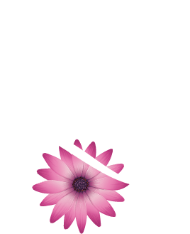 Layton45 logo