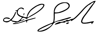 A close up of a person 's signature on a white background.