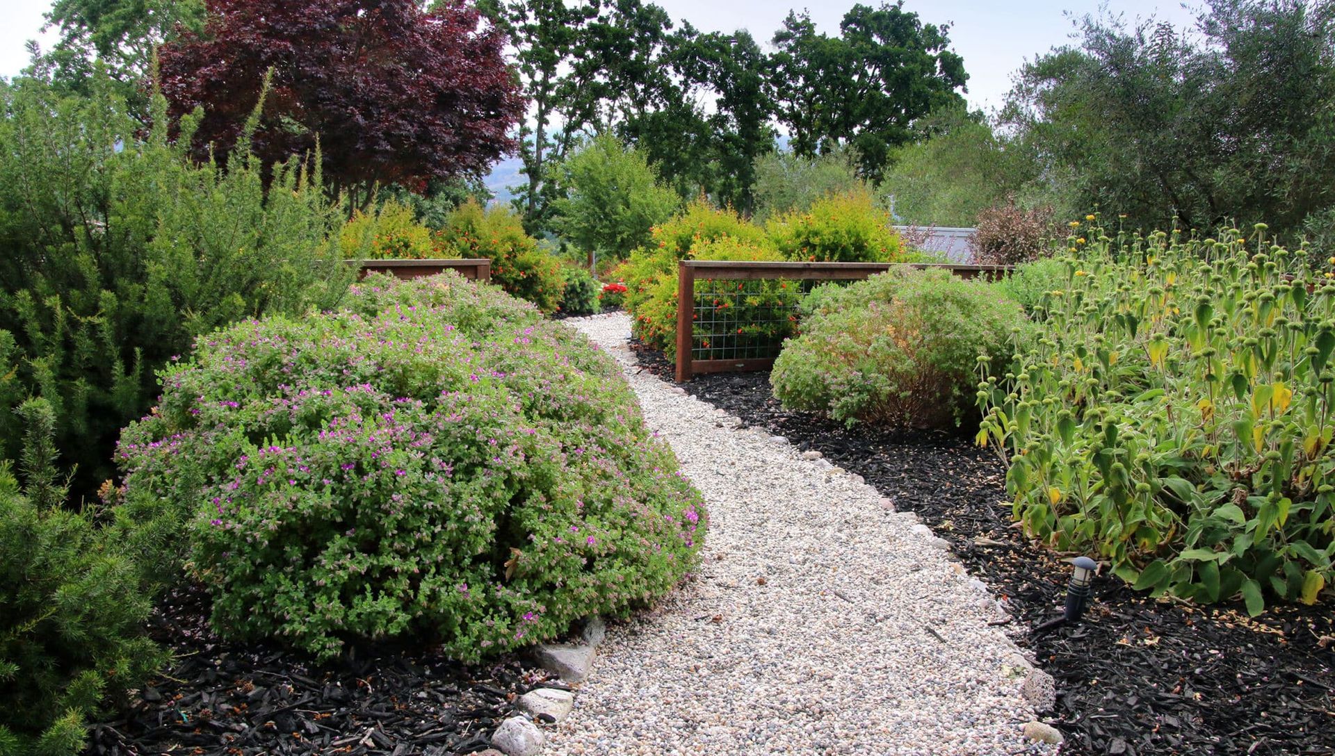 A gravel path surrounded by bushes and trees in a garden.