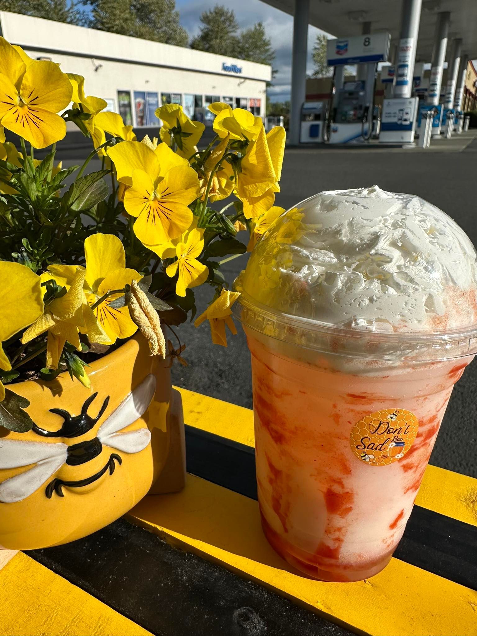 A cup of milkshake with whipped cream next to a potted plant with yellow flowers.