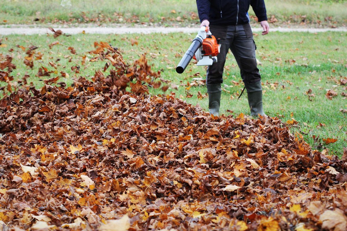 Leaf Blower — Attleboro, MA — AAA Equipment Repair