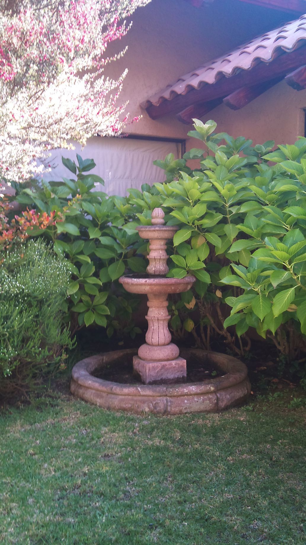 Una fuente de piedra rodeada de plantas verdes en un jardín.