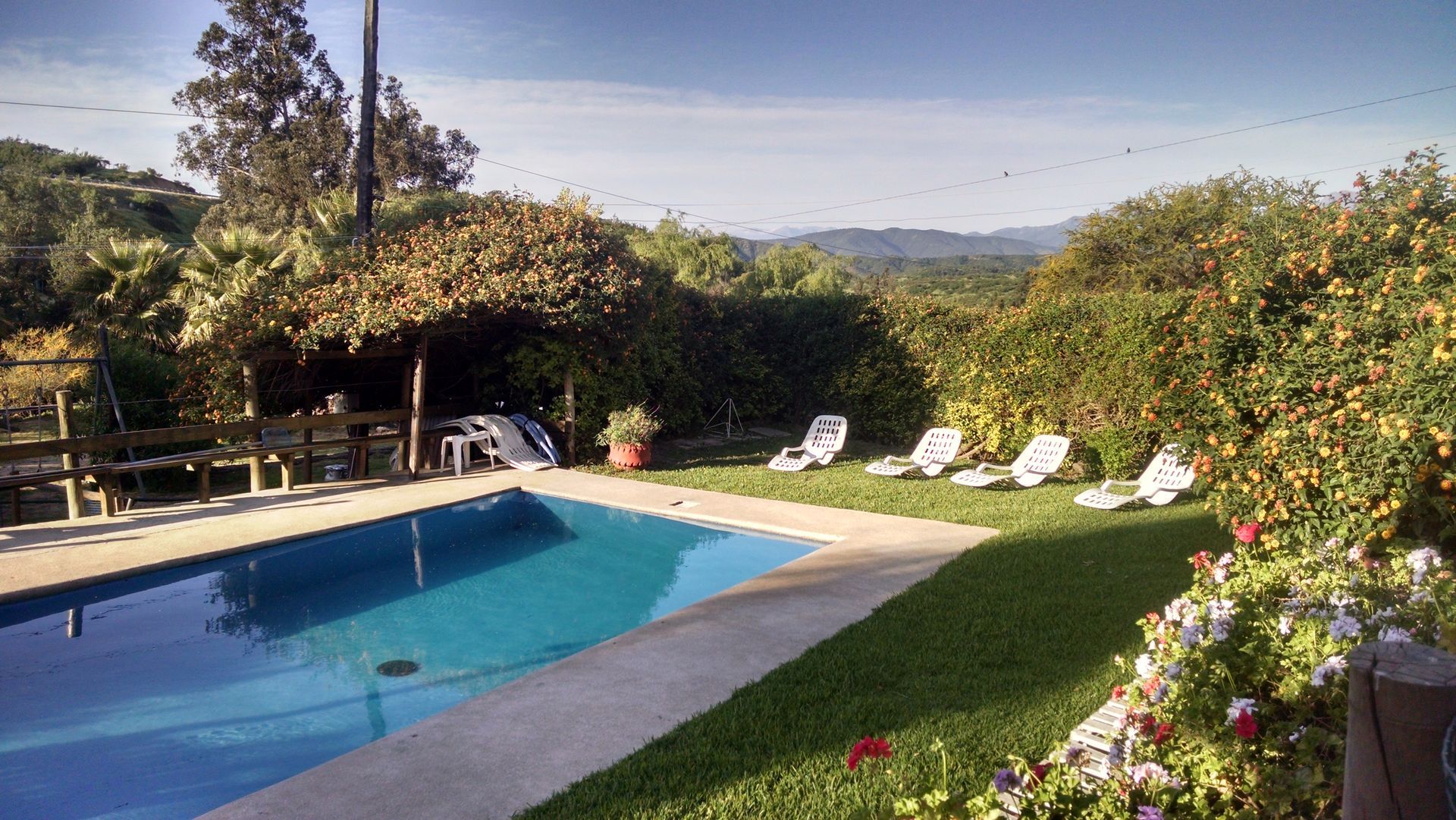 Piscina rodeada de césped verde y exuberantes plantas, con camastros, zona de sombra y vista a colinas lejanas.