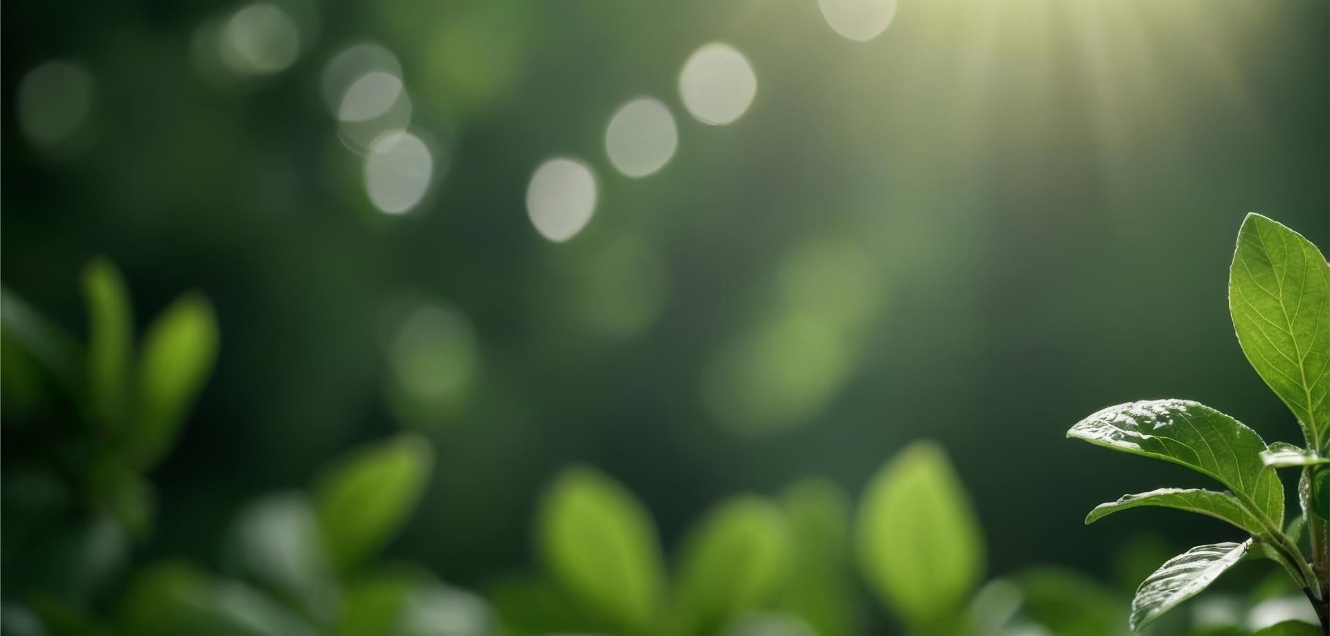 secure online appointment