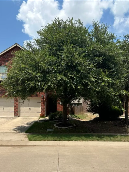 A large tree in front of a brick house