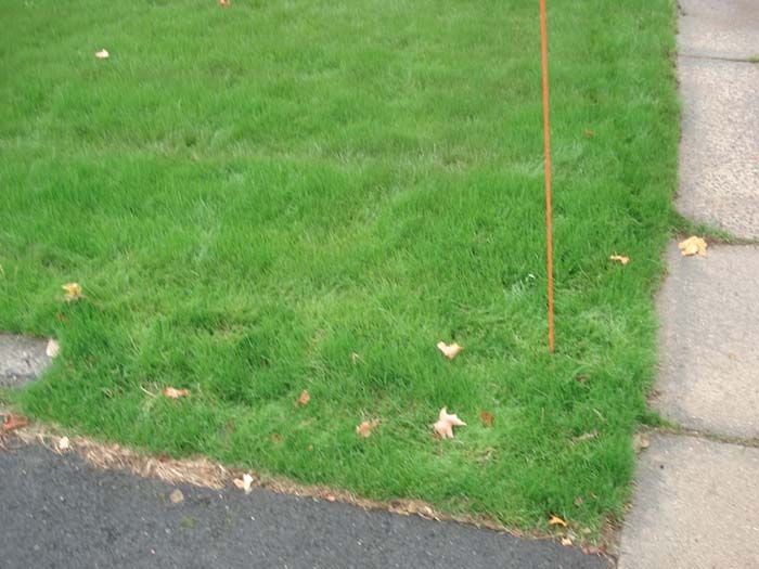 A lawn with a red pole in the middle of it