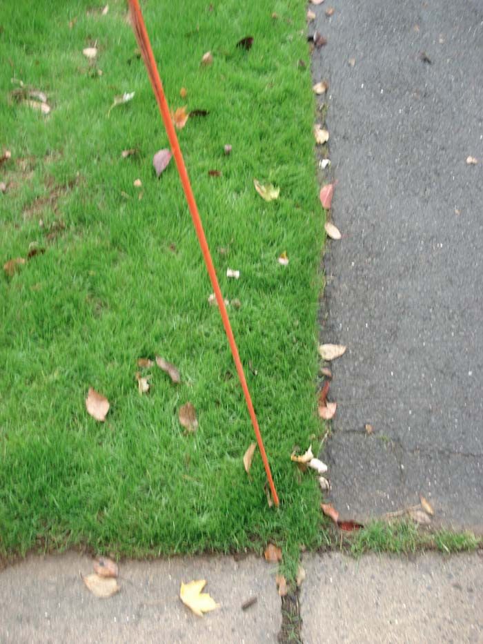 A person is standing on a sidewalk next to a grassy area.