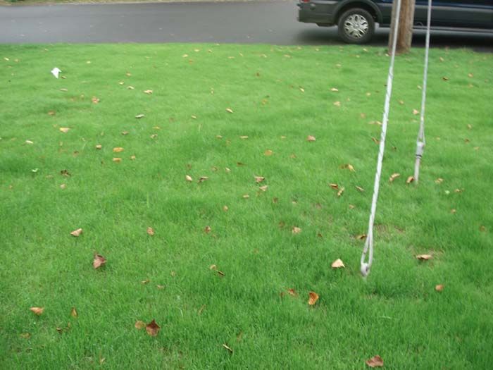 A car is parked on the side of the road next to a lush green lawn.