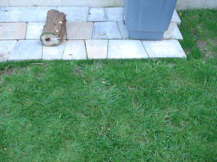 A log is laying on the grass next to a trash can.