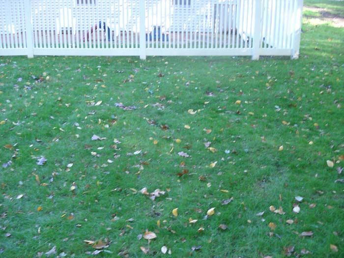 A white picket fence surrounds a lush green lawn.