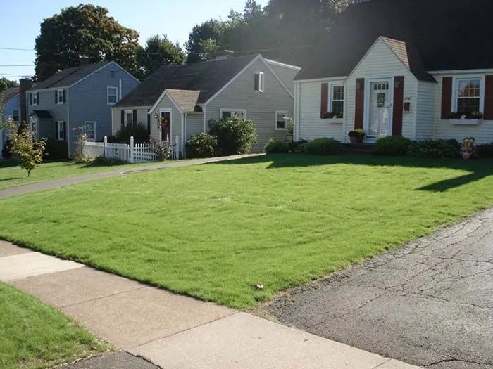 Green lawns and houses in a residential neighborhood.