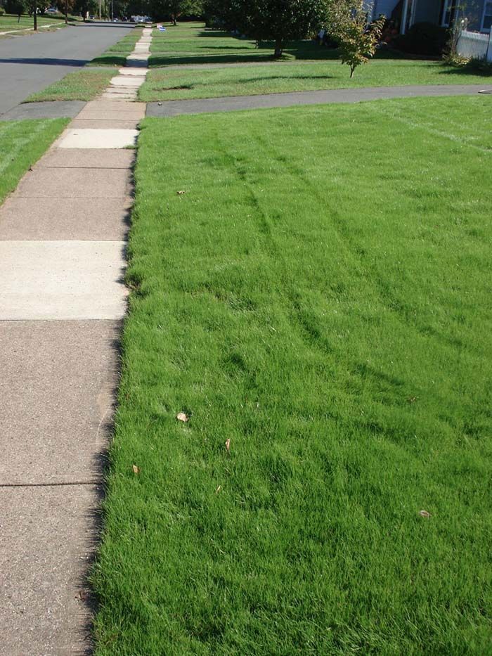 A sidewalk leading to a lush green lawn next to a house.