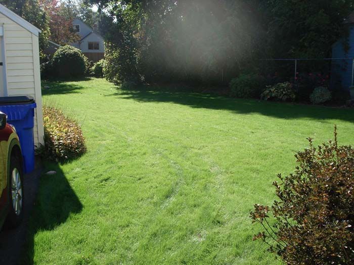 A car is parked in a driveway next to a lush green lawn.