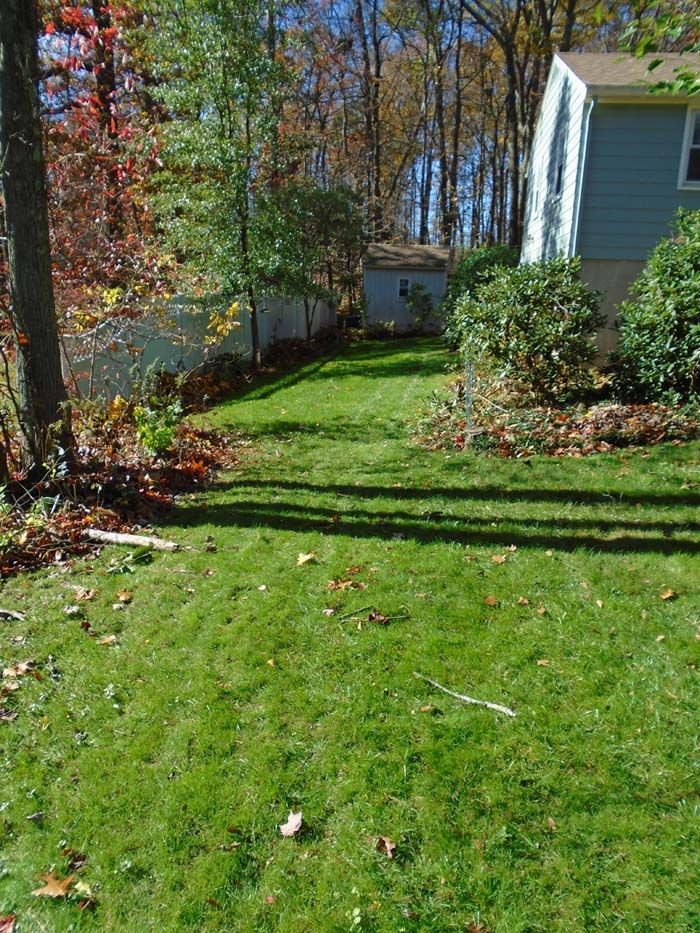 A lush green lawn with a house in the background
