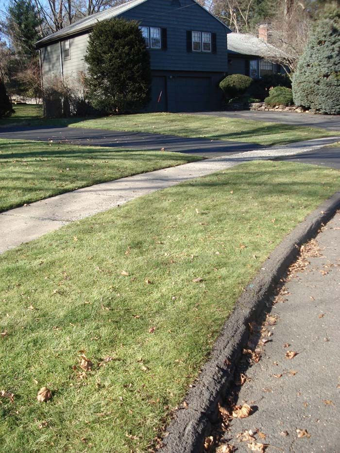 A house with a lush green lawn in front of it
