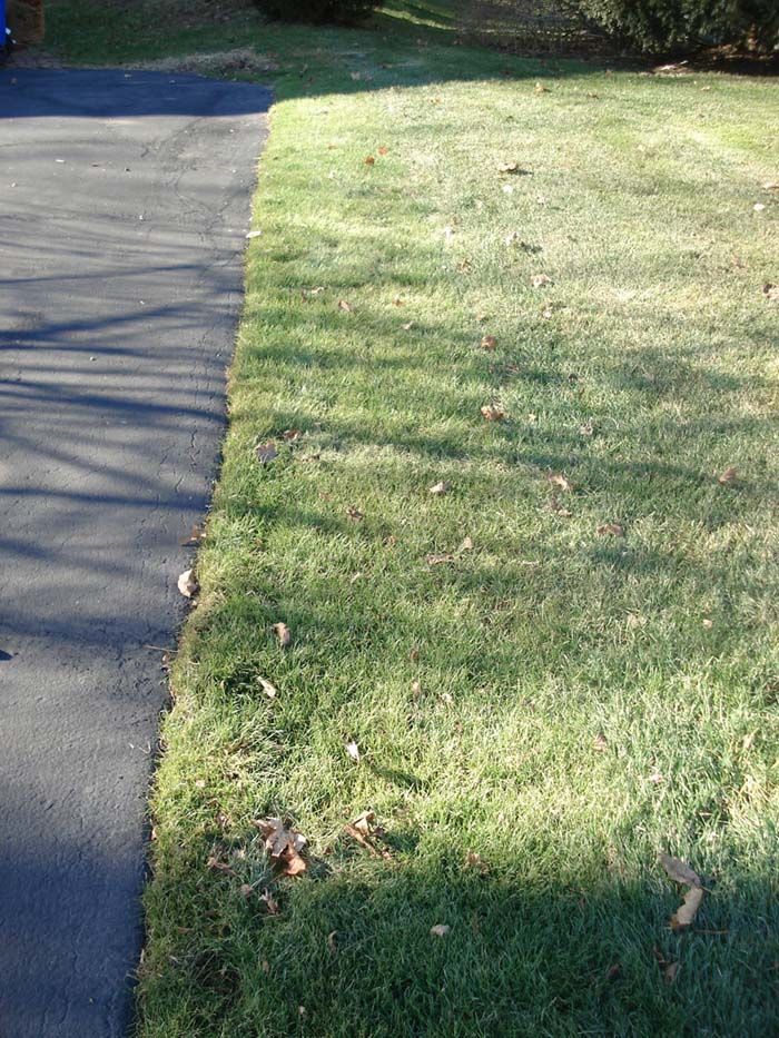 A person is walking down a sidewalk next to a lush green lawn.