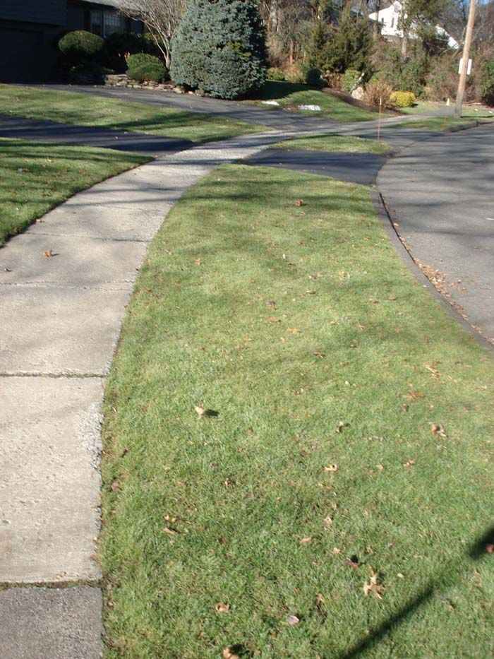 A sidewalk next to a lush green lawn in a residential neighborhood.