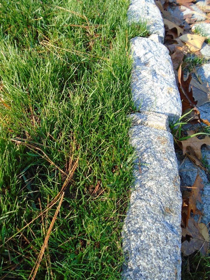 A close up of a rock surrounded by grass and leaves.