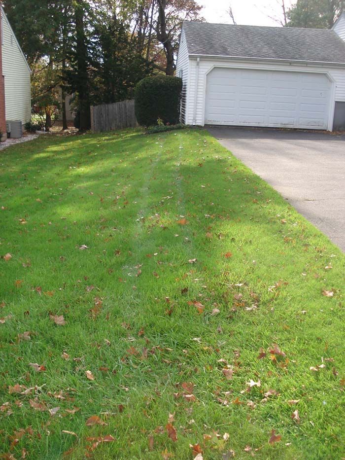 A lush green lawn with a garage in the background