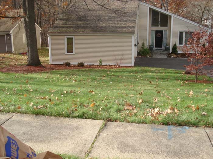 A house with a lush green lawn in front of it