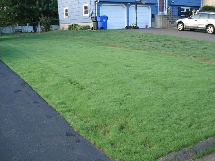 A car is parked in a driveway next to a lush green lawn.