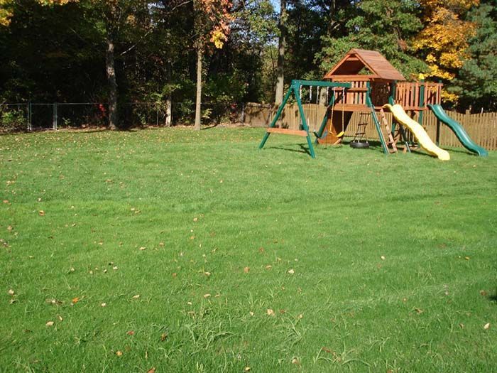 A playground with swings and a slide in a lush green field