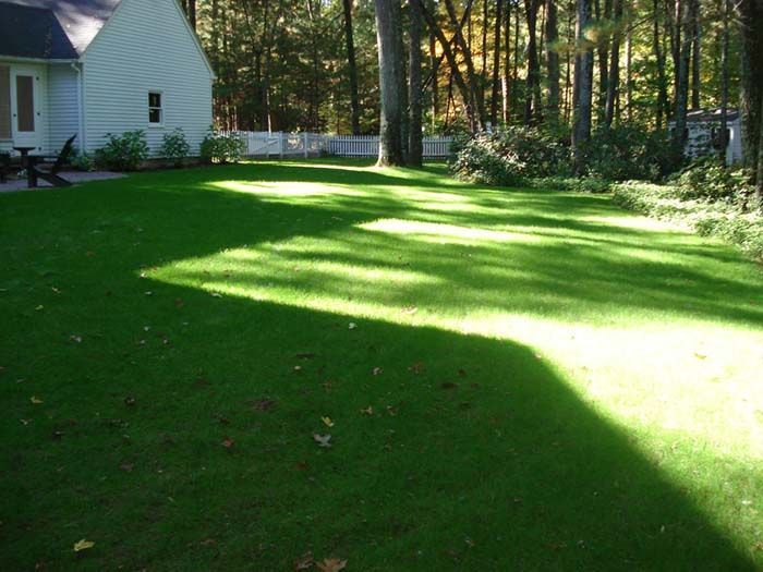 A lush green lawn with a white house in the background