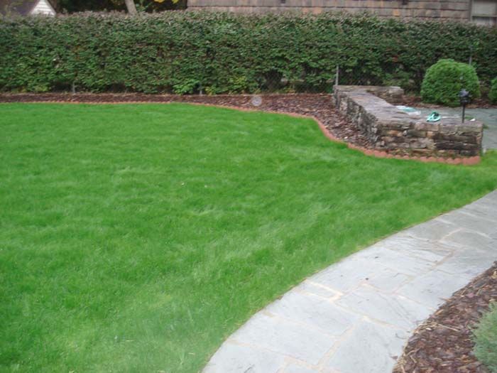 A lush green lawn with a stone walkway leading to it.