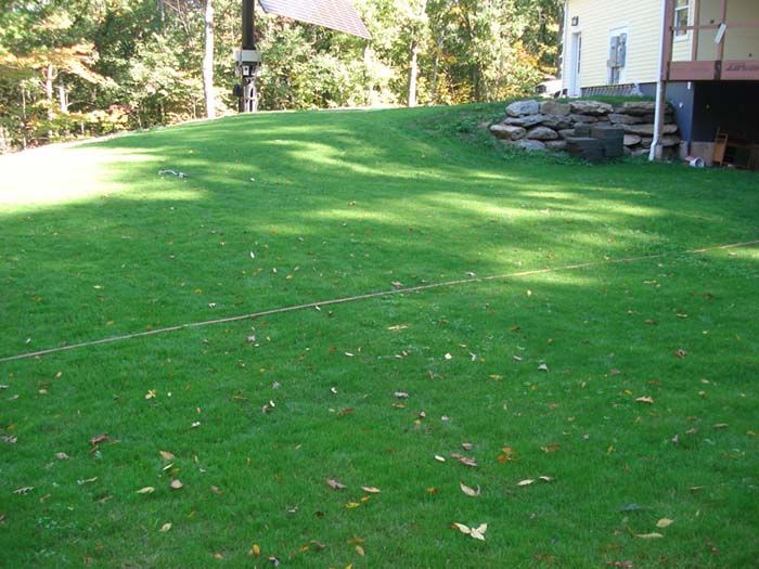 A lush green lawn with a house in the background