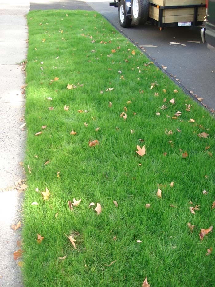 A trailer is parked on the side of the road next to a lush green lawn