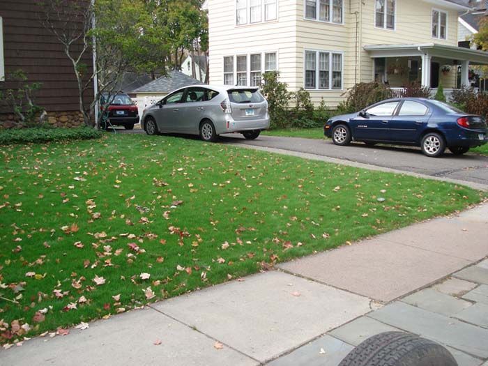 Two cars are parked on the side of the road in front of a house
