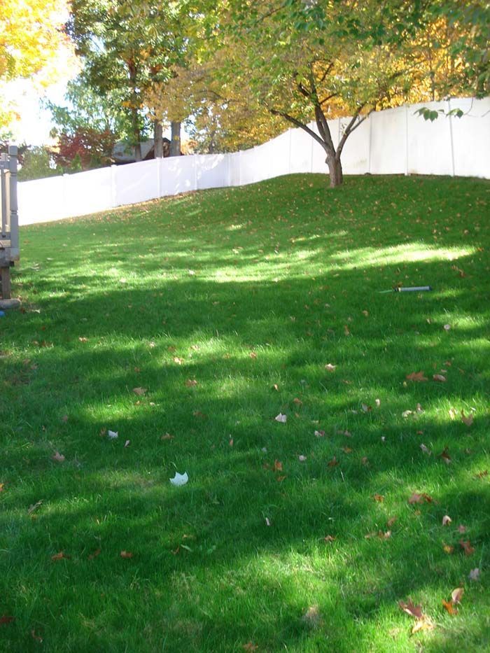 A lush green lawn with a white fence in the background