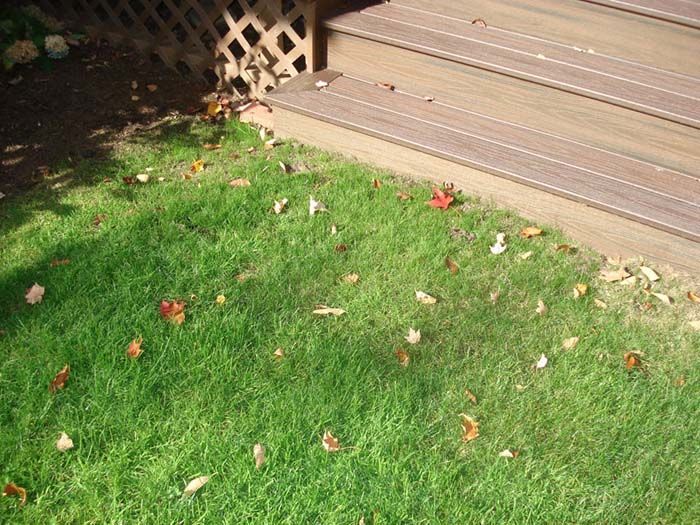A lawn with leaves on it and a deck in the background