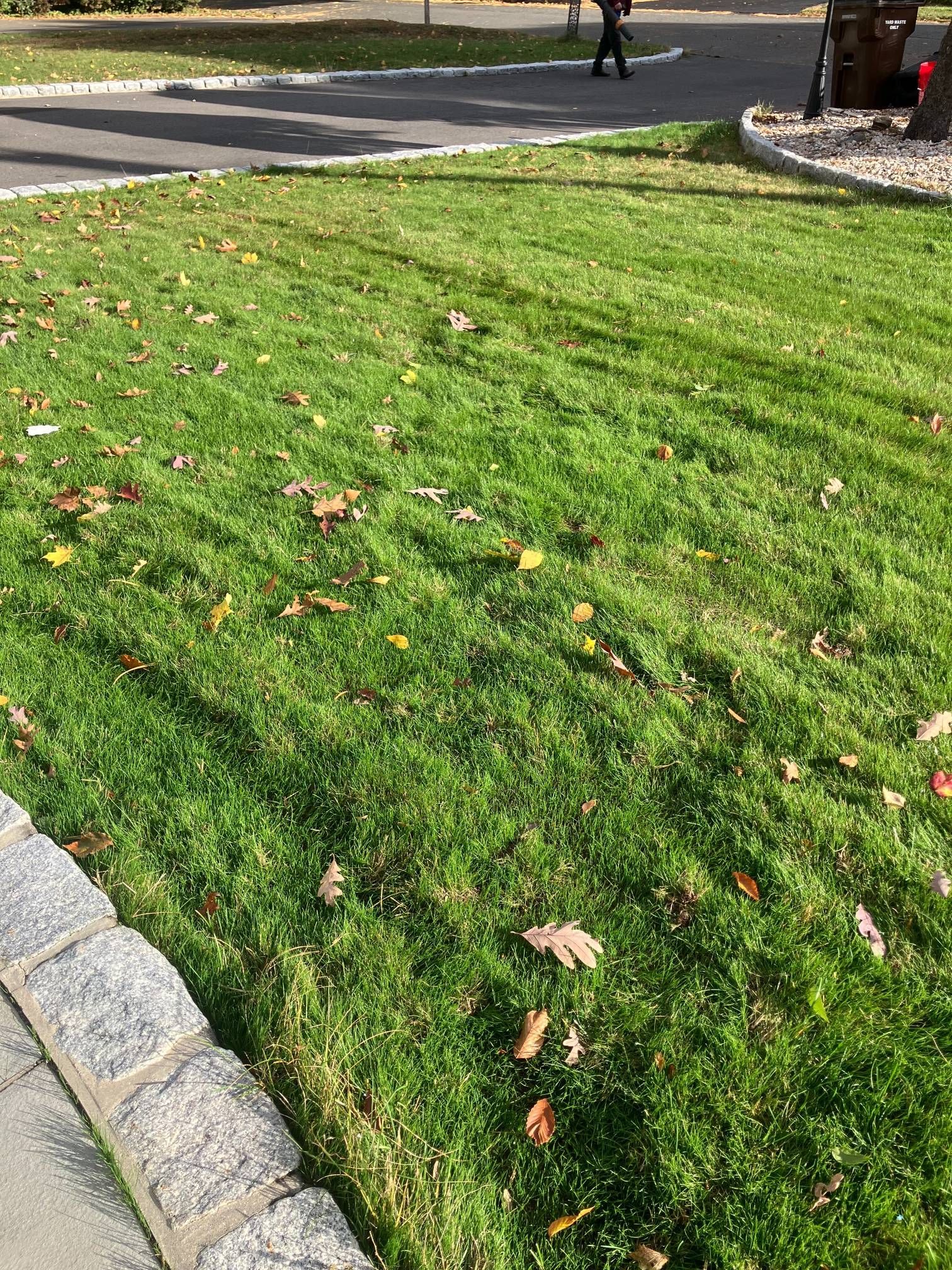 A person is walking on a sidewalk next to a lush green lawn.